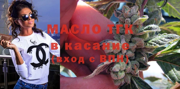 гидра Вязьма