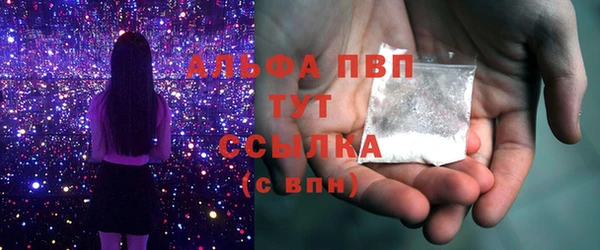 гидра Вязьма