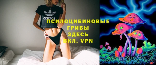 гидропоника Сатка
